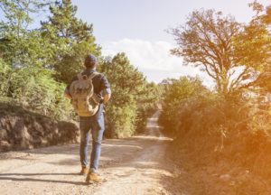 walking surrounded by trees