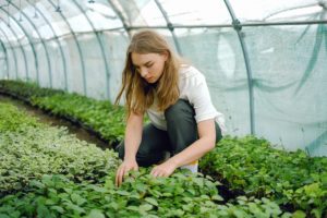 woman gardening