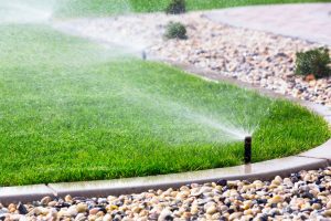 sprinkle watering the lawn